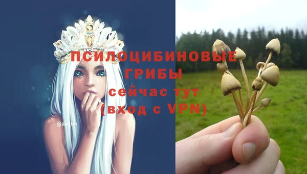 марки lsd Мегион