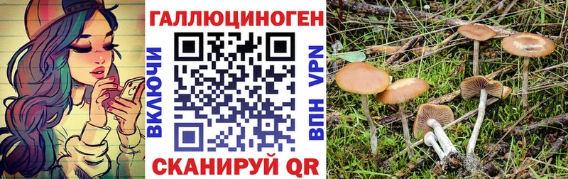 Псилоцибиновые грибы Psilocybe  KRAKEN сайт  Самара 